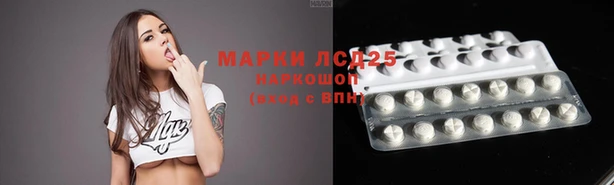 стафф Коряжма