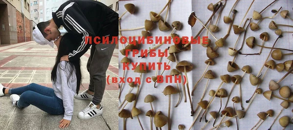 стафф Коряжма