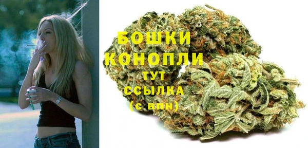 стафф Коряжма