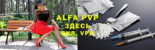 стафф Коряжма
