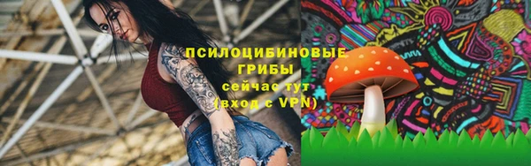 герыч Кострома